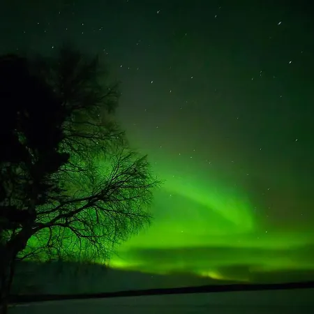 Villa Northern Lights From Inside, Lake, Sauna,silent Shine *