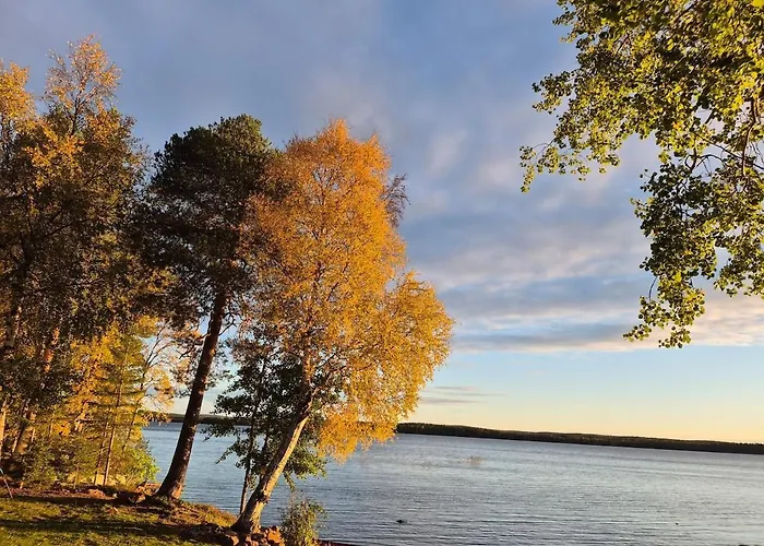 Northern Lights From Inside, Lake, Sauna,Silent Shine וילה רובניימי