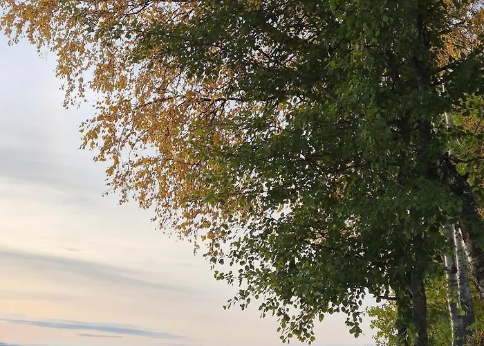 Northern Lights From Inside, Lake, Sauna,Silent Shine