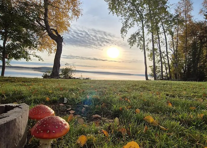 Northern Lights From Inside, Lake, Sauna,Silent Shine וילה רובניימי