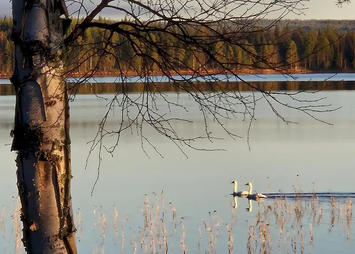 וילה Northern Lights From Inside, Lake, Sauna,Silent Shine רובניימי