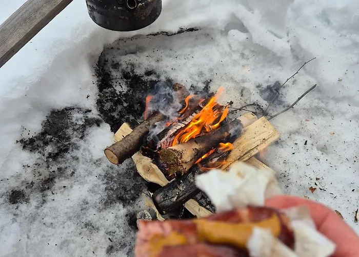 וילה Northern Lights From Inside, Lake, Sauna,Silent Shine רובניימי